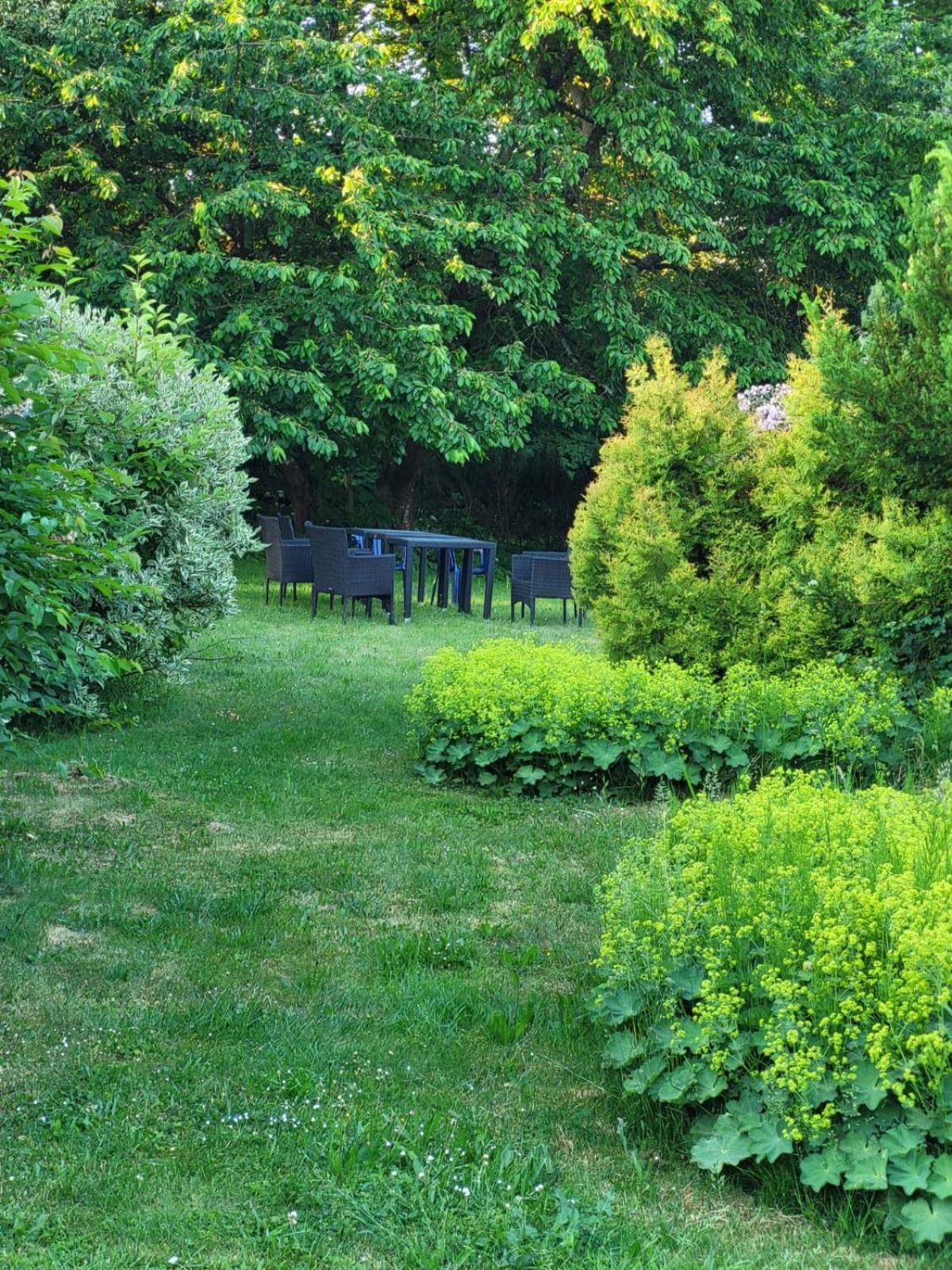 D&B Staycation Ferienpark Niedenstein 外观 照片