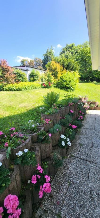D&B Staycation Ferienpark Niedenstein 外观 照片