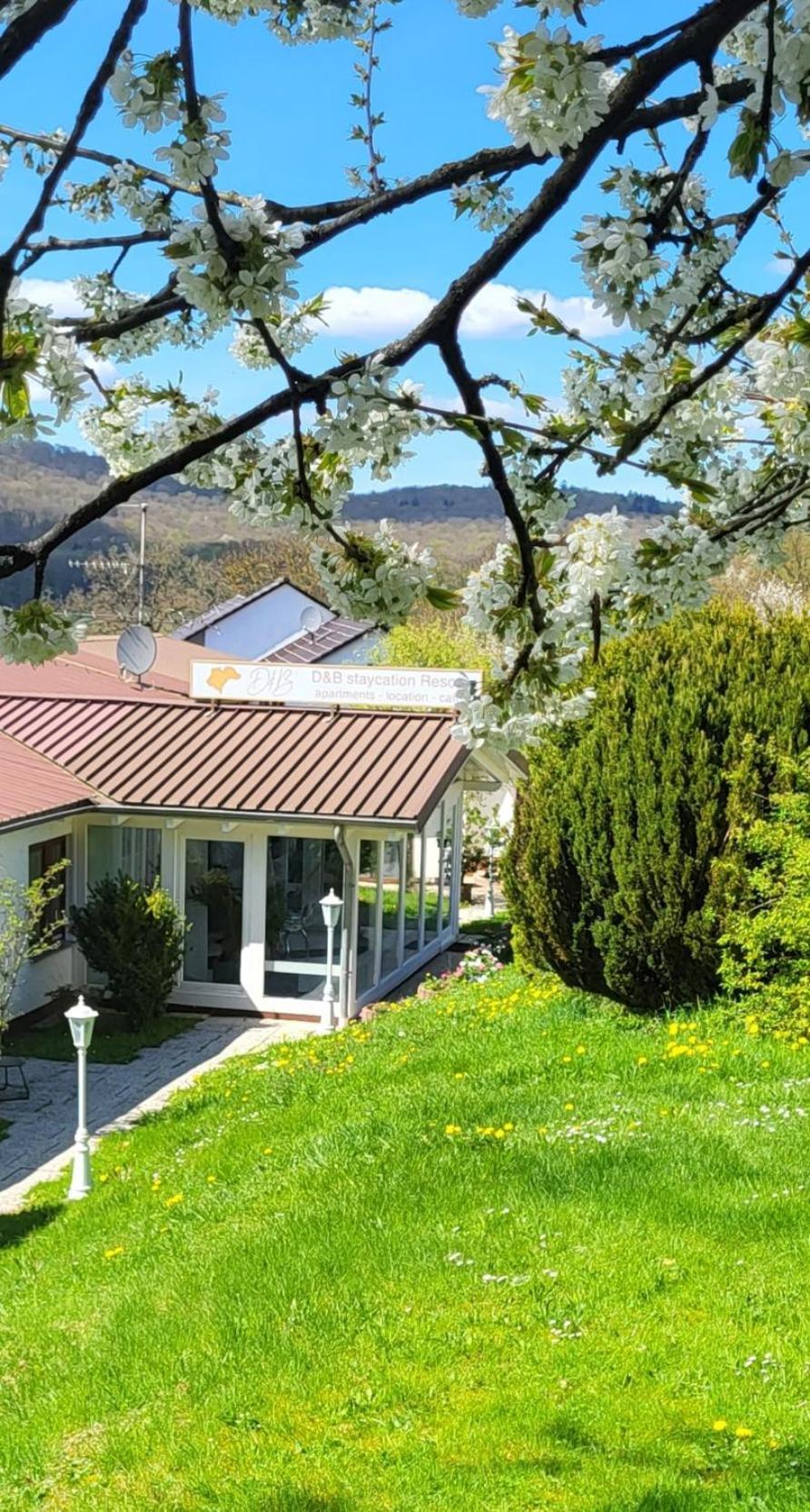D&B Staycation Ferienpark Niedenstein 外观 照片